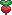 Radish